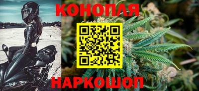 герыч Моздок