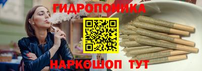спиды Можга