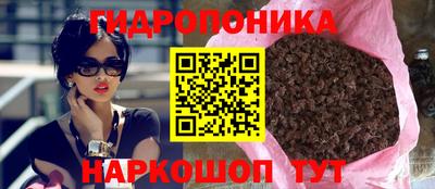 спиды Можга