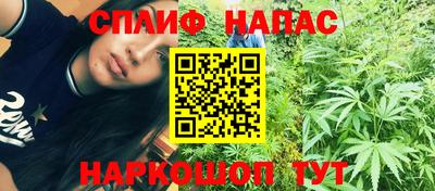 спиды Можга