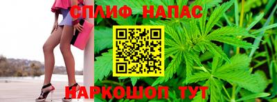 спиды Можга