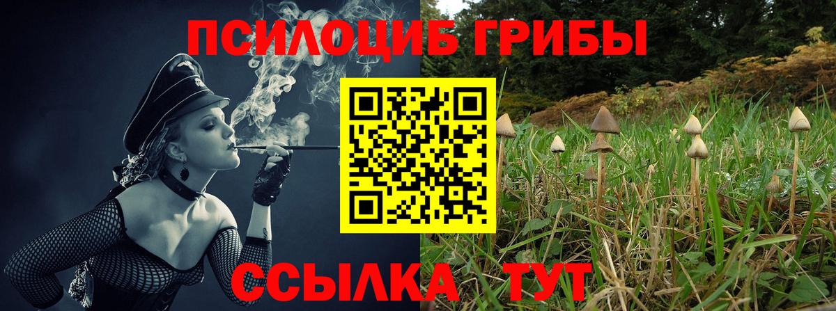 Псилоцибиновые грибы прущие грибы Чехов